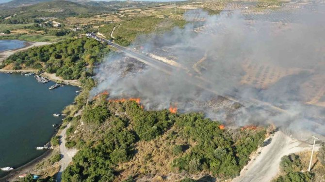 Didim’de Orman Yangını Korkuttu