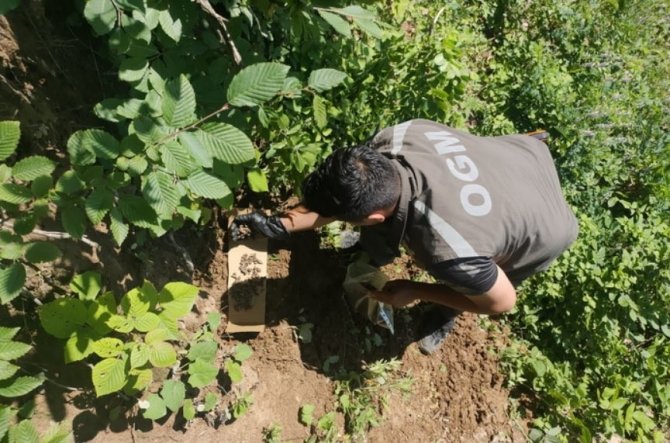 Sadece Yangınlarla Değil Tüm Zararlılarla Mücadele Ediyorlar