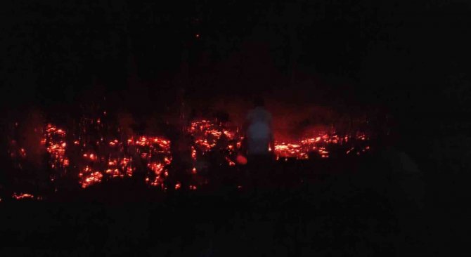 Elazığ’da Tarlada Çıkan Yangını Köylüler Söndürdü