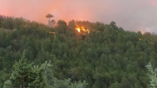 Emet’te Orman Yangını Büyüyerek Devam Ediyor