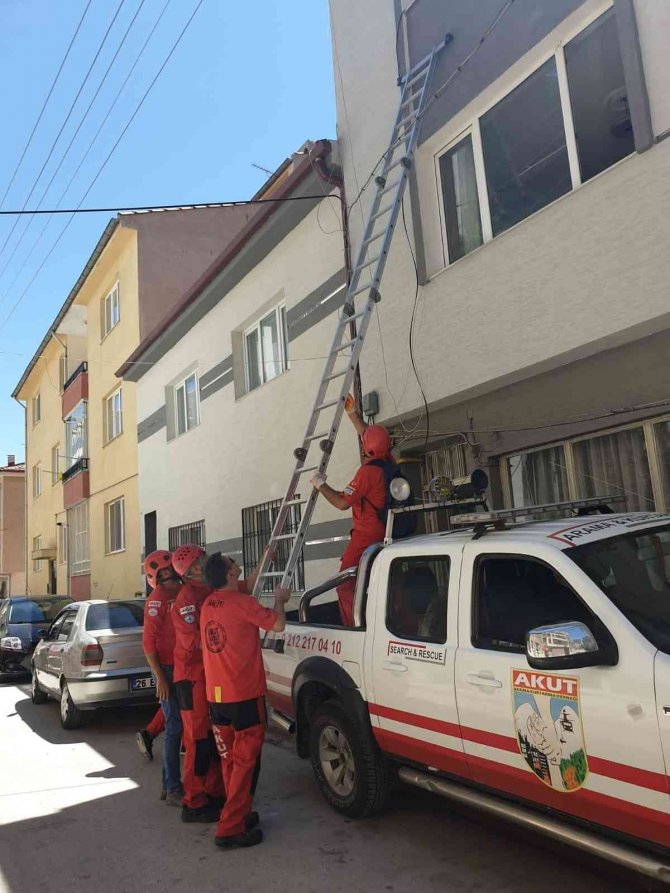 Binanın İkinci Katında Mahsur Kalan Kedi Akut’un Operasyonuyla Kurtarıldı