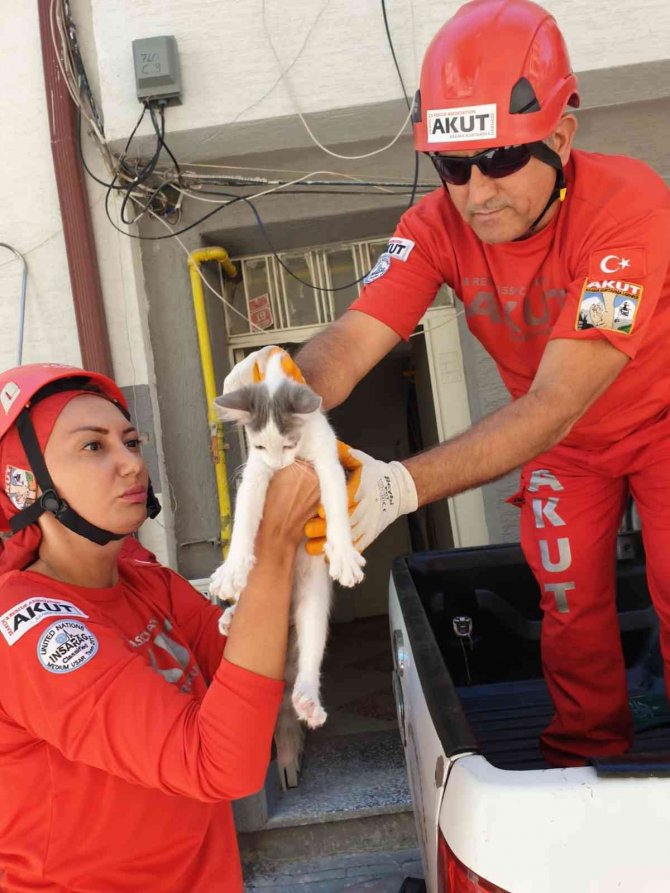 Binanın İkinci Katında Mahsur Kalan Kedi Akut’un Operasyonuyla Kurtarıldı