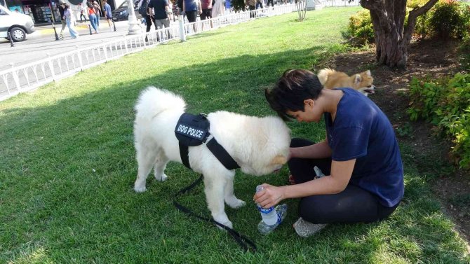 Taksim’de Sıcaktan Bunalan Vatandaşlar Serinlemek İçin Çeşitli Yollara Başvurdu