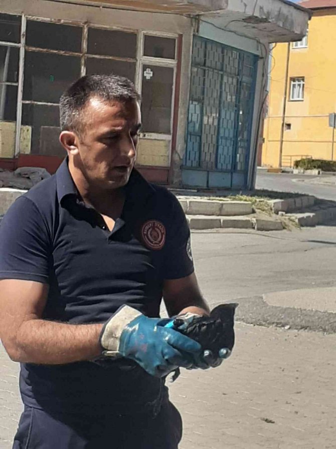 Tomarza’da Ayağı Sıkışan Kargayı İtfaiye Kurtardı