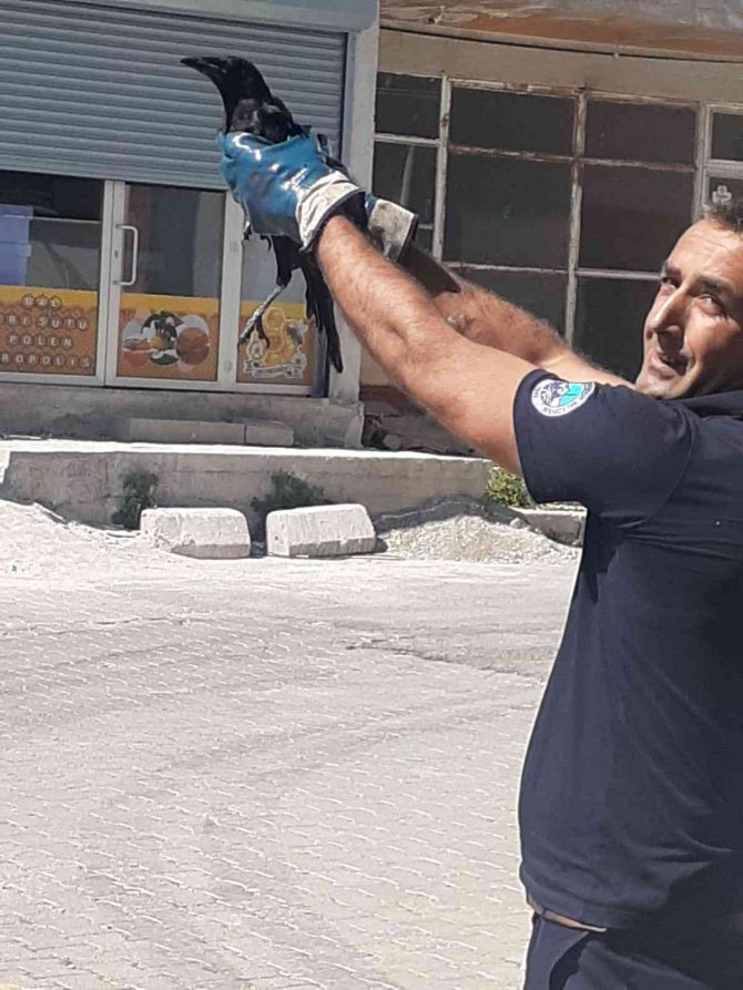 Tomarza’da Ayağı Sıkışan Kargayı İtfaiye Kurtardı