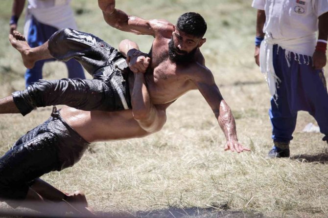 Feslikan Yağlı Güreşleri Başladı
