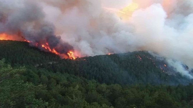 Kütahya’da Orman Yangını Çıktı
