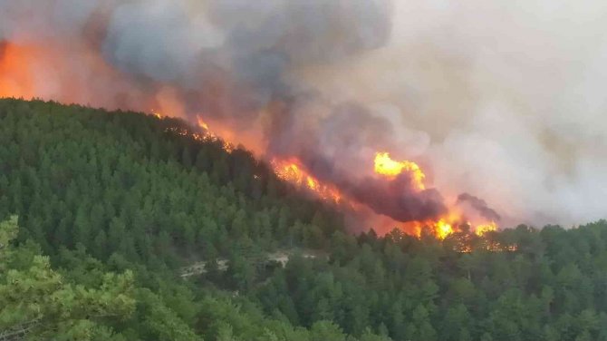 Kütahya’da Orman Yangını Çıktı