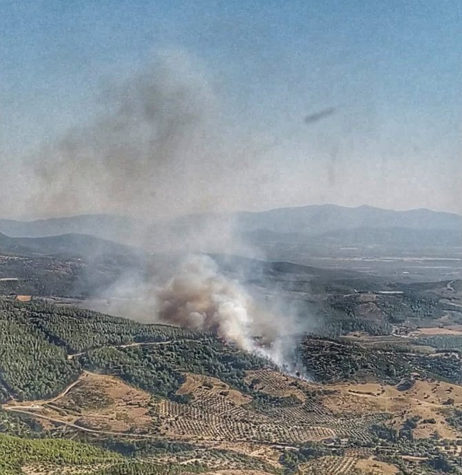 Manisa’da Otluk Alanda Çıkan Yangın Ormana Sıçradı