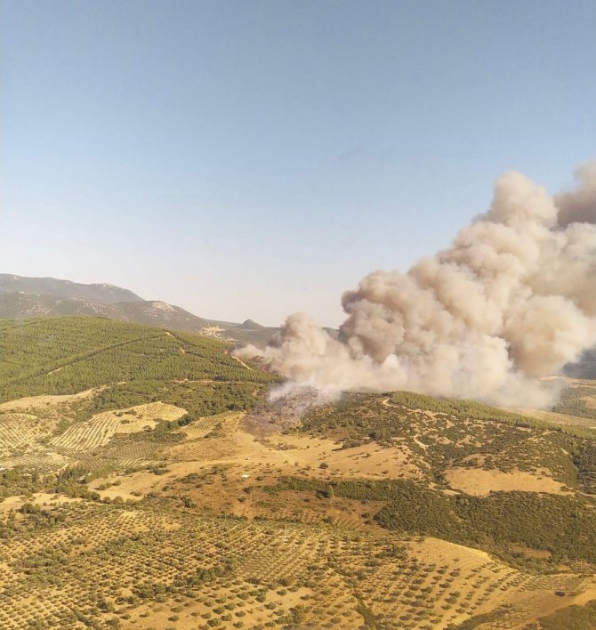 Manisa’da Otluk Alanda Çıkan Yangın Ormana Sıçradı