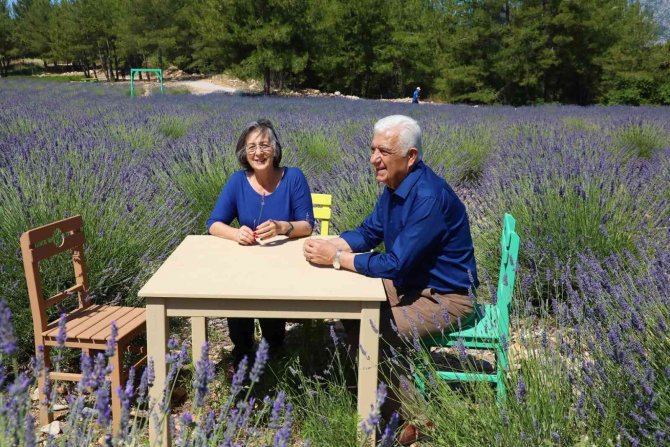 Lavanta Bahçesi 1 Ağustos’a Kadar Ziyaretçilerini Ağırlayacak