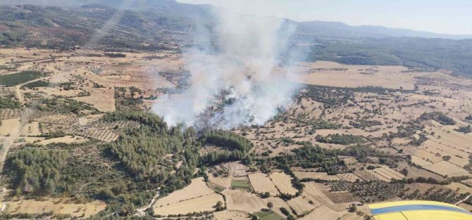 Milas’ta 4 Hektarlık Alan Zarar Gördü