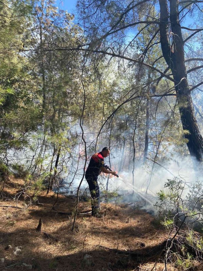 Milas’ta Yangına Havadan Ve Karadan Müdahale Devam Ediyor