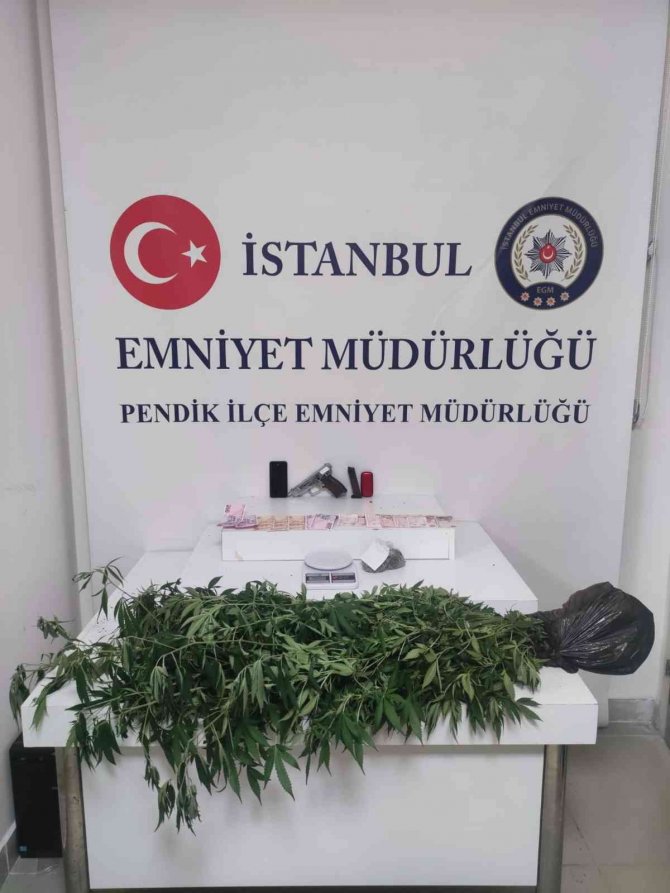 Pendik’te Binanın Çatı Katını Uyuşturucu Serasına Çeviren Kardeşler Yakalandı