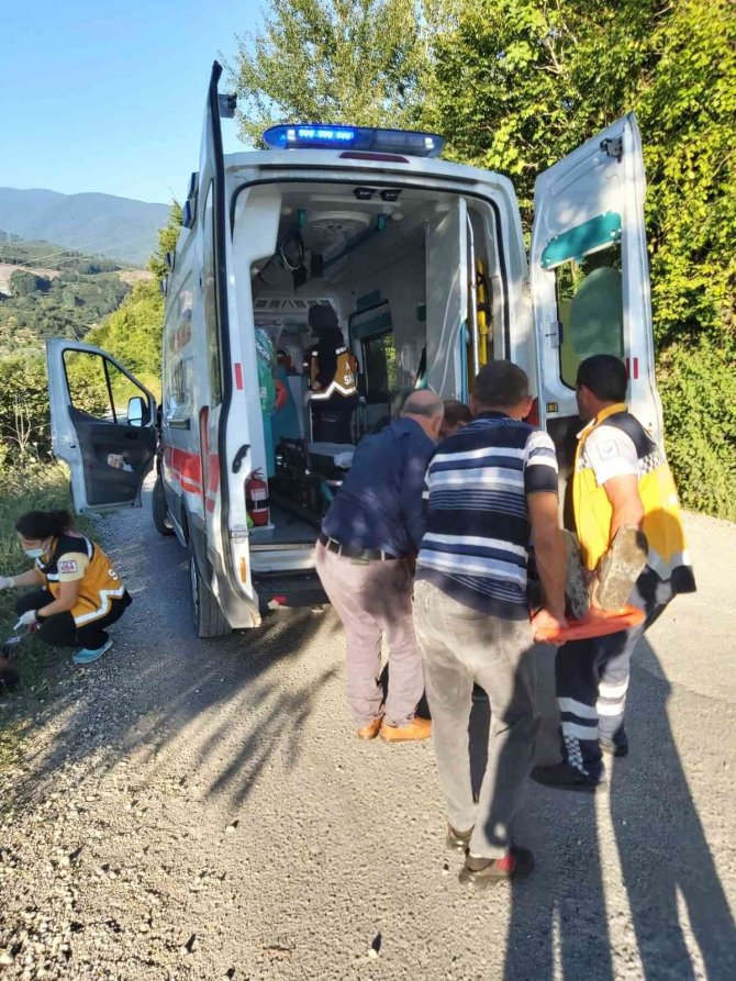 Sakarya’da Otomobil Fındık Bahçesine Uçtu: 2 Yaralı