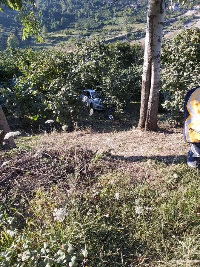 Sakarya’da Otomobil Fındık Bahçesine Uçtu: 2 Yaralı