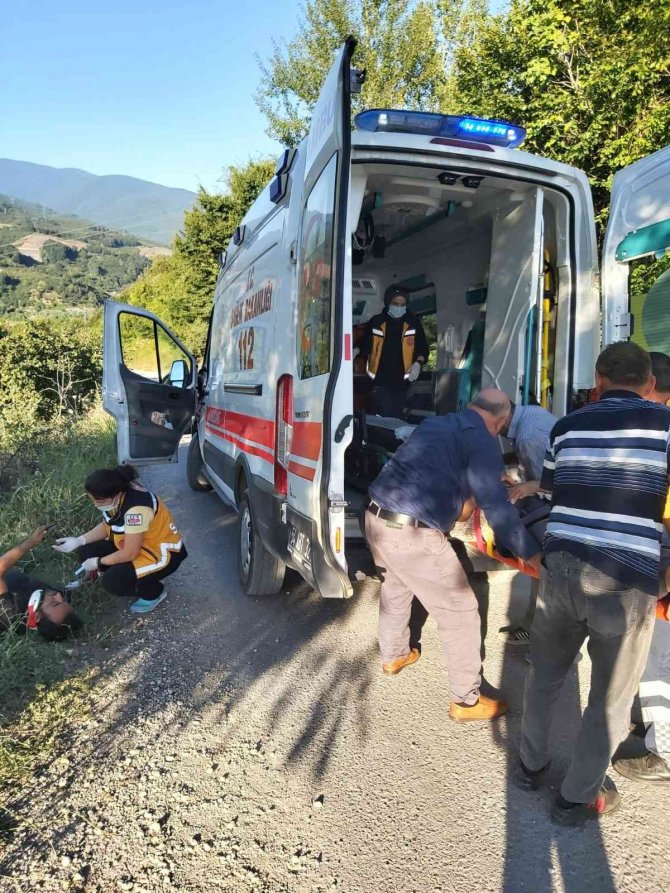 Sakarya’da Otomobil Fındık Bahçesine Uçtu: 2 Yaralı