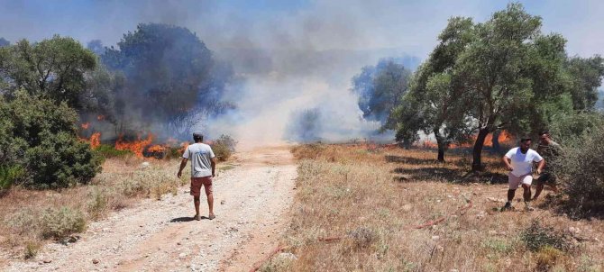 Temizlik Ateşi Kontrolden Çıktı