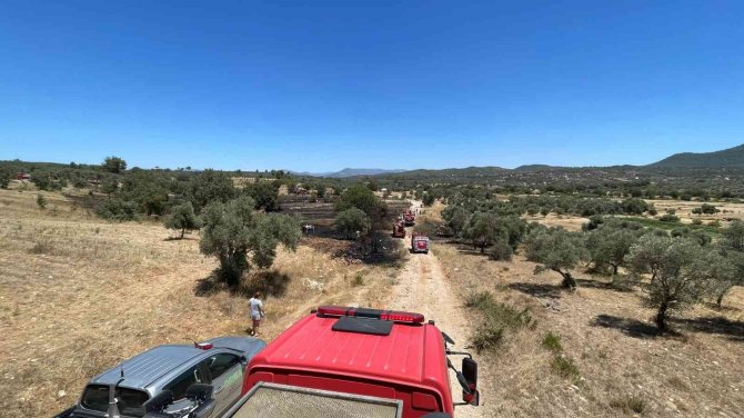 Temizlik Ateşi Kontrolden Çıktı