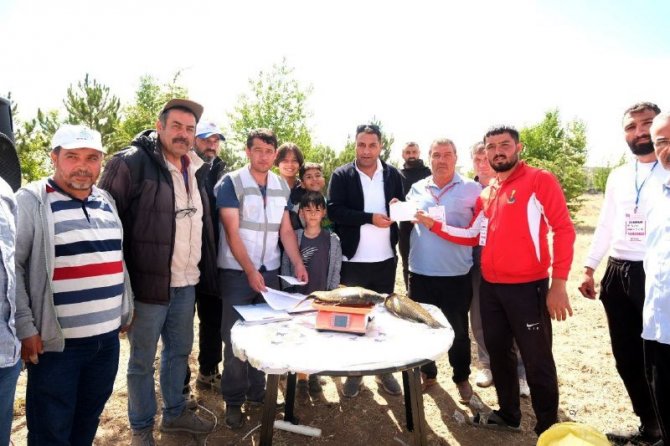 Büyük Balığı Tuttular, Ödülü Kaptılar