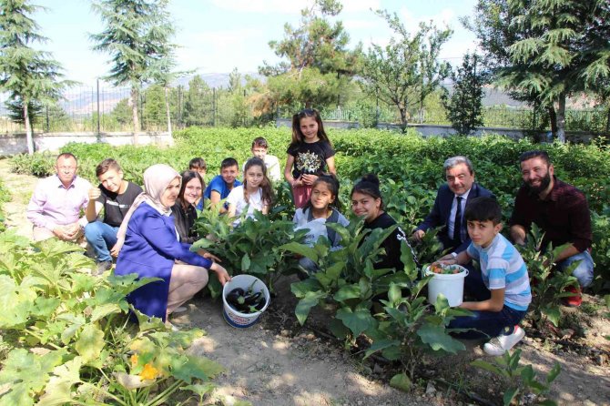 Yunus Emre Öğretmen, Okulda Öğrencileriyle Yetiştirdiği Sebzelerini Sütle Besliyor