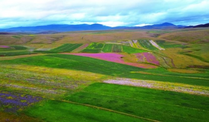 Ardahan’da Doğa Rengarenk