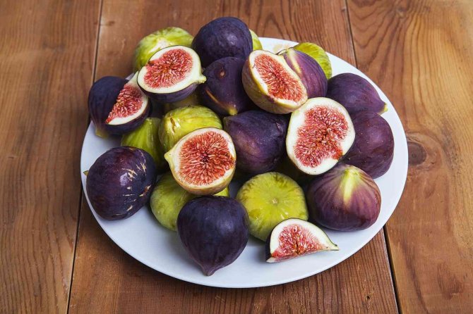 İ̇ncirde Hasat Ve İhracat Tarihi Belli Oldu