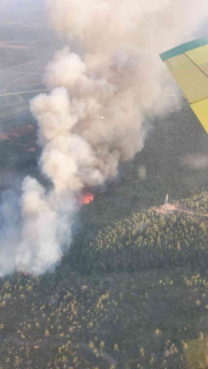 Söke’deki Yangına 7 Helikopter Ve 4 Uçakla Müdahale Devam Ediyor