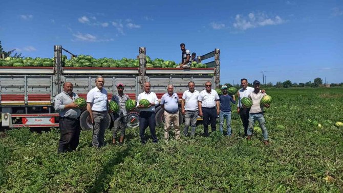 Türkiye’de Damakları Bafra Karpuzu Tatlandırıyor
