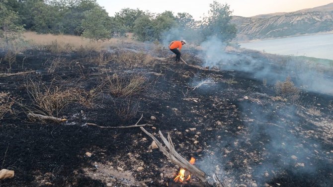 Bingöl’de 3 Köyde Çıkan Orman Yangınları Söndürüldü