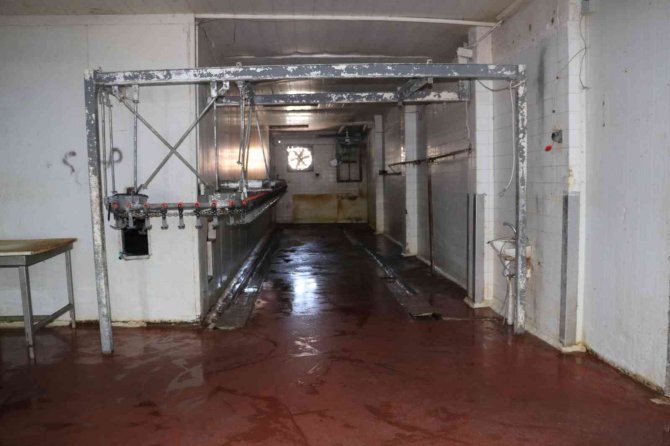 Skandal Görüntüler Üzerine İ̇l Tarım Ve Orman Müdürlüğü Ekipleri Denetimleri Sıkılaştırdı