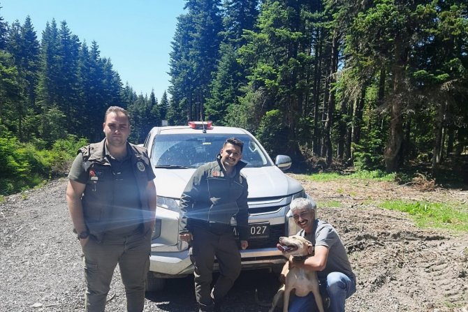 Ormanda Kaybolan "Bulut" İsimli Köpek, 11 Gün Sonra Sahibine Kavuştu