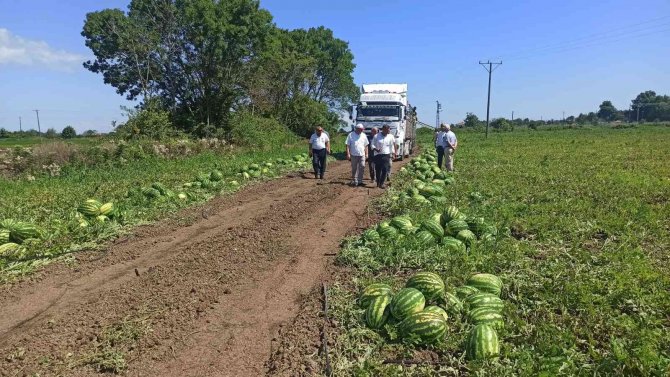 Türkiye’de Damakları Bafra Karpuzu Tatlandırıyor