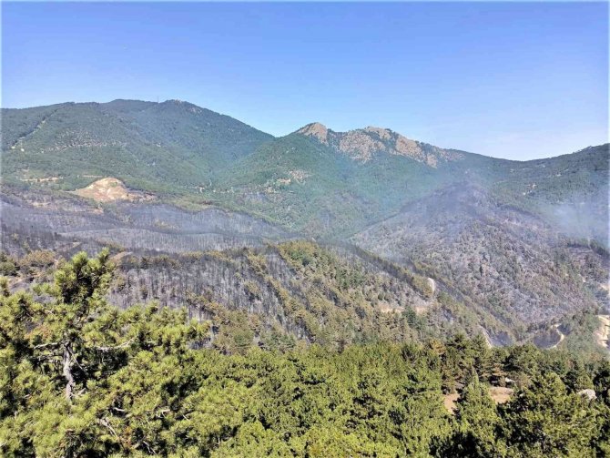 Emet’te Yanan Ormanlık Alan Havadan Görüntülendi