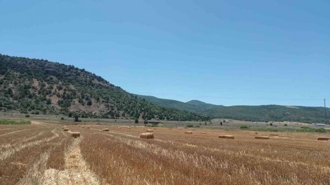 Eskişehir’de Saman Balyası Mesaisi Başladı