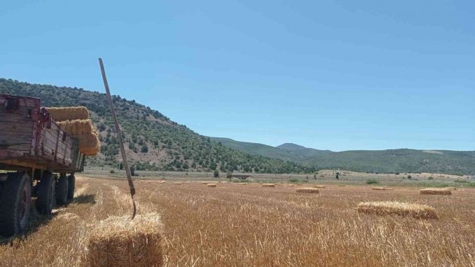 Eskişehir’de Saman Balyası Mesaisi Başladı