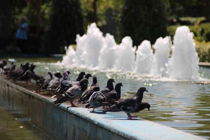 İ̇zmir’de Hava Sıcaklığı 40 Dereceyi Bulacak