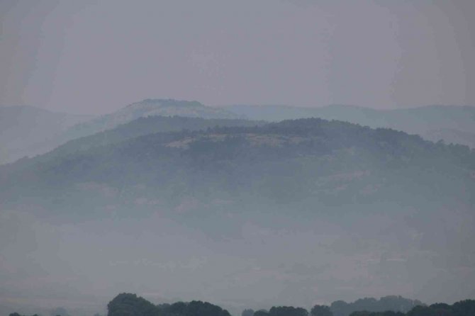 Edirne Sınırına Dayanan Yunanistan’daki Orman Yangınında Yoğun Duman Hakim Oluyor
