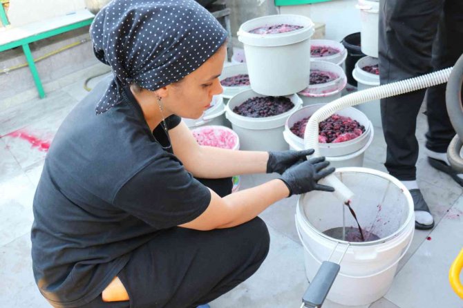 Malatya’da Üretip Dünyanın Dört Bir Yanına Gönderiyorlar