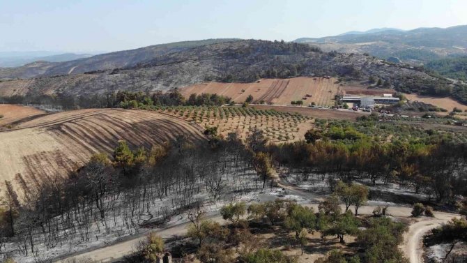 Orman Yangını Dehşetini Gözyaşlarıyla Anlattılar
