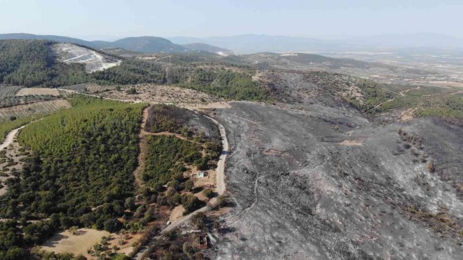 Orman Yangını Dehşetini Gözyaşlarıyla Anlattılar