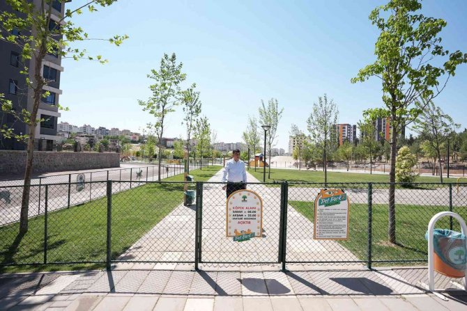 Pet Park 2, Halkın Hizmetine Sunuldu