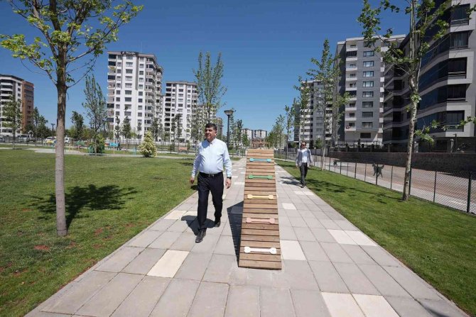 Pet Park 2, Halkın Hizmetine Sunuldu