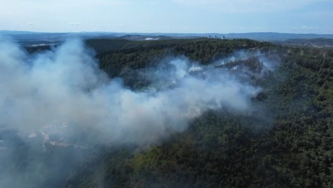 Sakarya’da Ormanlık Alanda Çıkan Yangın Kısmen Kontrol Altına Alındı