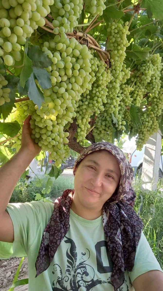 Üretici Üzüm Fiyatlarının Erken Açıklanmasını İstiyor