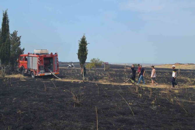 Tekirdağ’da Anız Ve Çamlık Alan Alev Alev Yandı