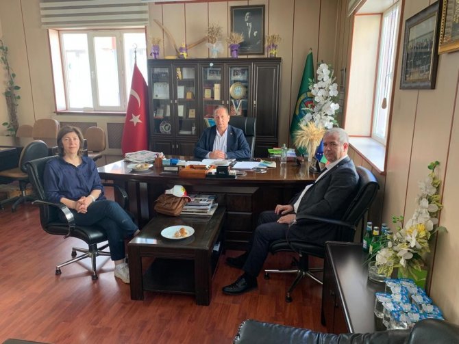 Eskişehir’de Çayır Tırtılı İstilası