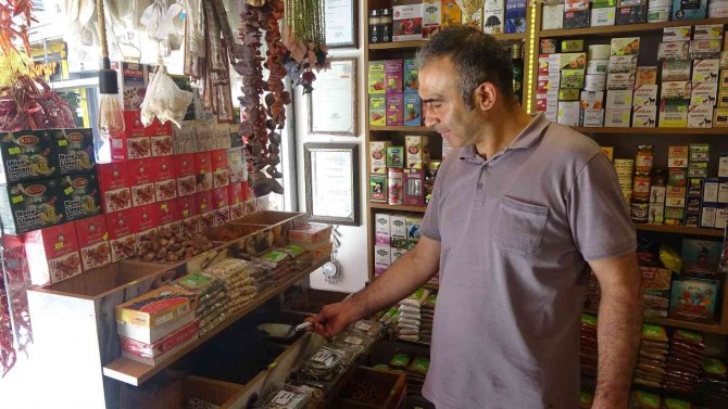 Aktarlarda Yaz Hareketliliği