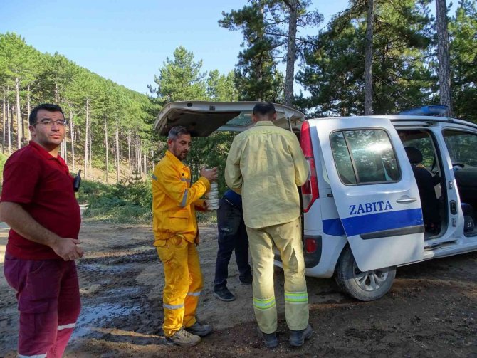 Vali Çelik: “En Kısa Zamanda Yanan Alanı Tekrar Yeşillendireceğiz”