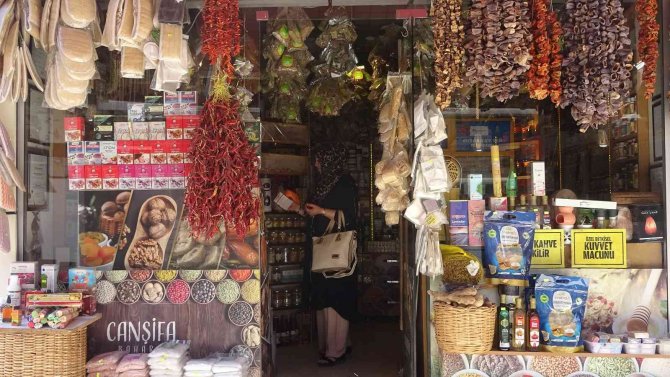 Aktarlarda Yaz Hareketliliği